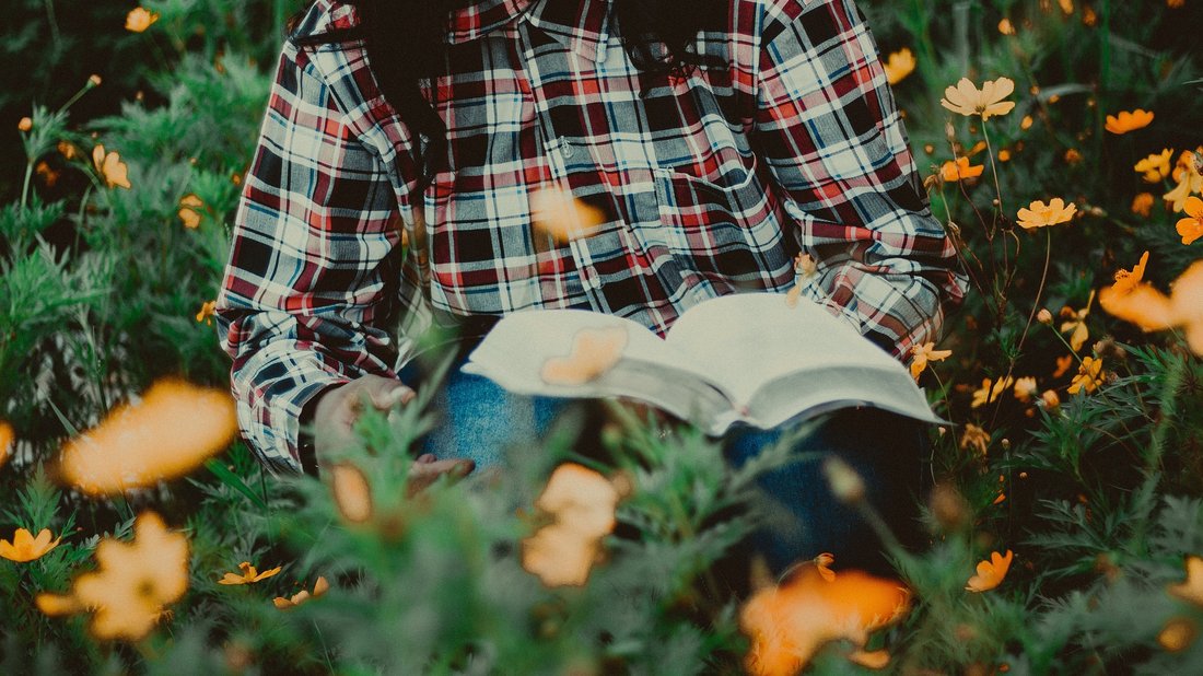 The Many Uses for Your Library Card Beyond Books