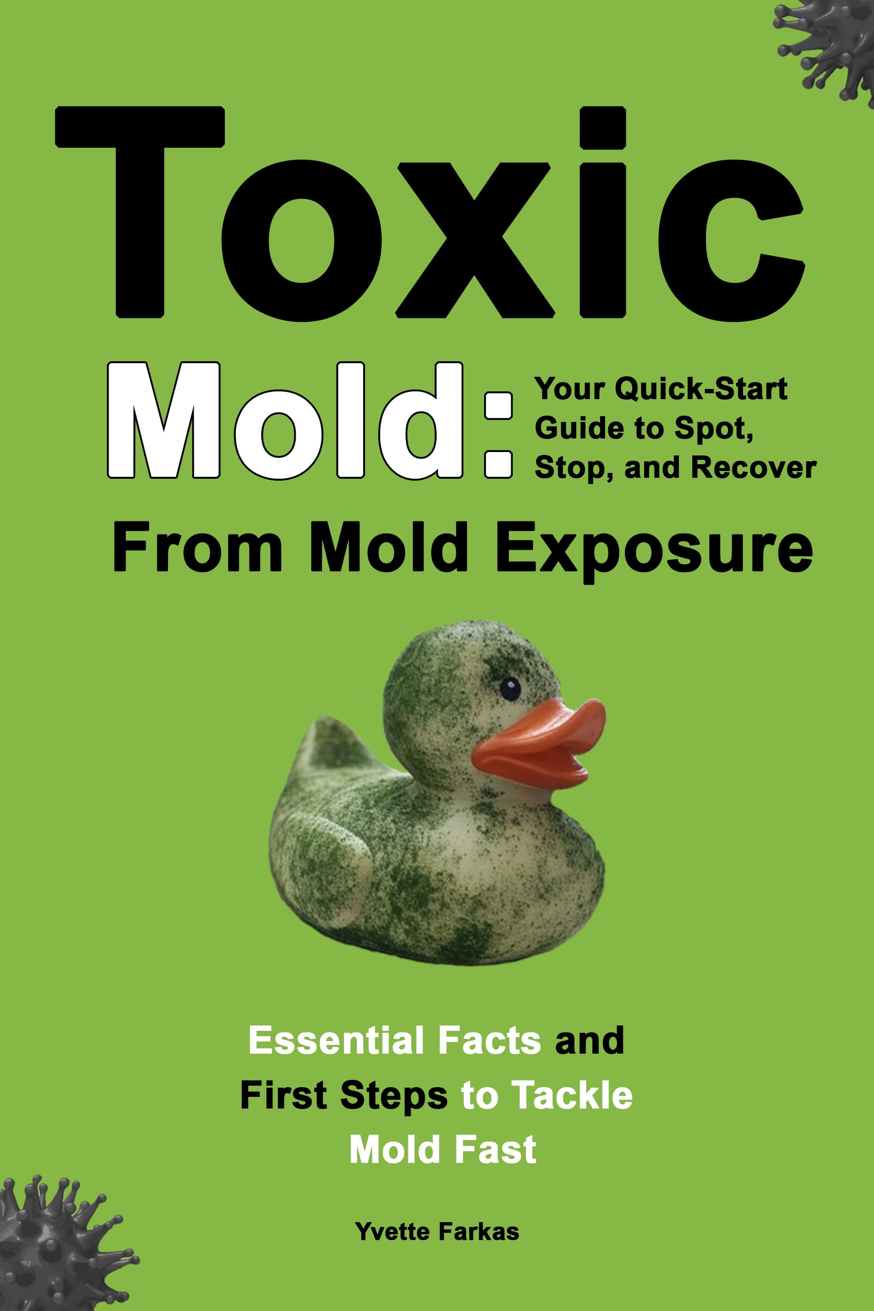 Toxic Mold: Your Quick-Start Guide